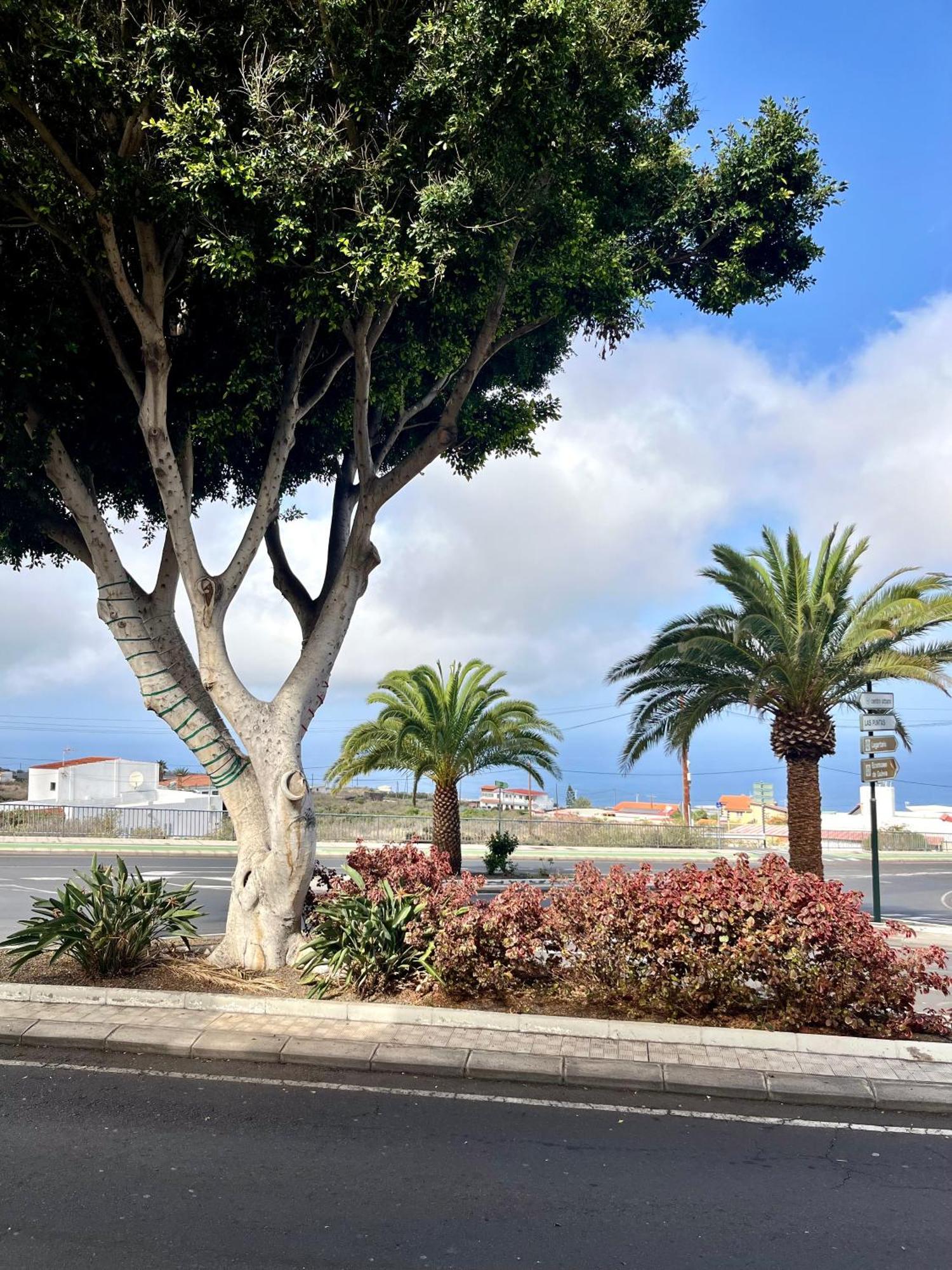 Apartamentos Edalmar Jerez de la Jerez de la Frontera Zewnętrze zdjęcie